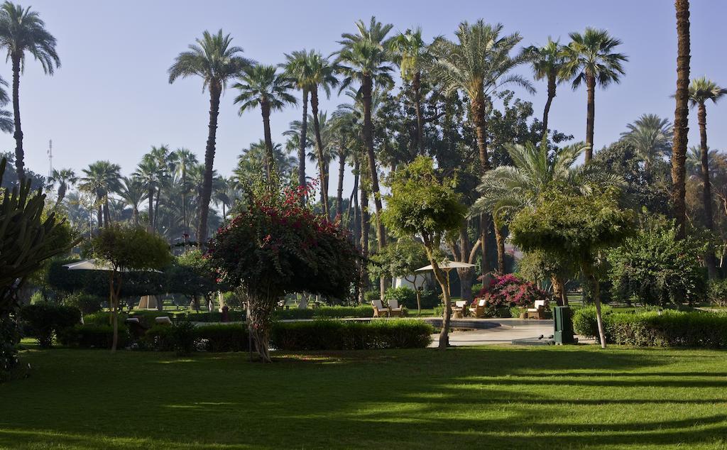 พาวิเลียน วินเทอร์ ลักซอร์ Hotel ภายนอก รูปภาพ The grounds of the Desert Garden